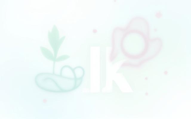 Hands exchanging high-fives and a wellness dashboard with activity tracking, symbolizing recognition and well-being